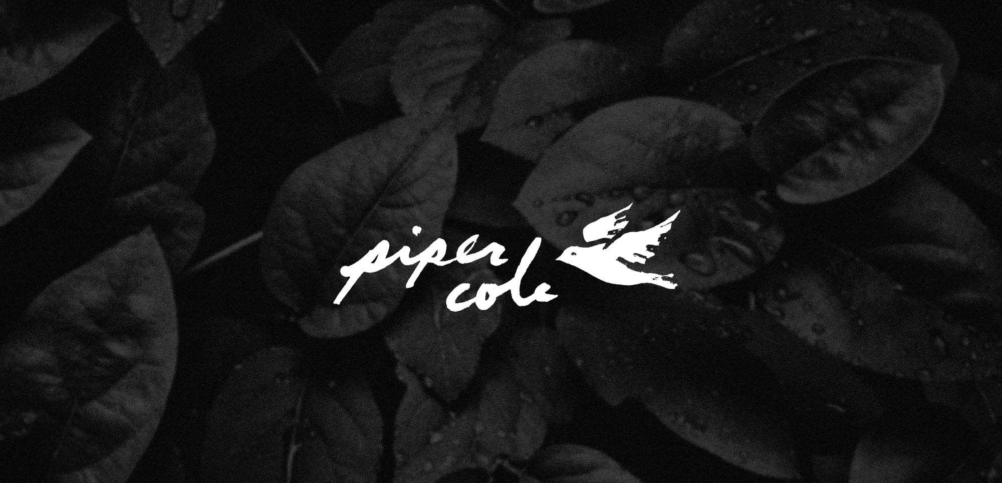Piper Cole Hand-Drawn Logo