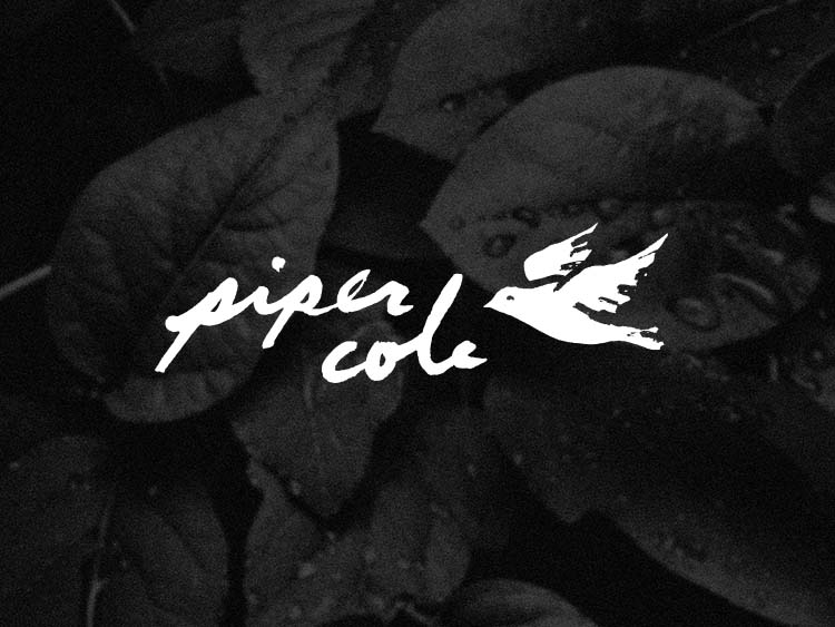 Piper Cole Brand Identity Logo Design